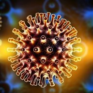 Virus HIV